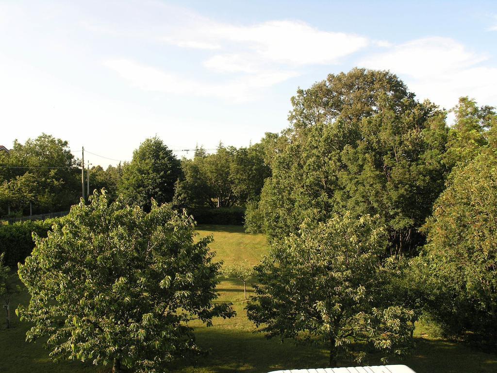 Stirenca B&B Trieste Exterior foto